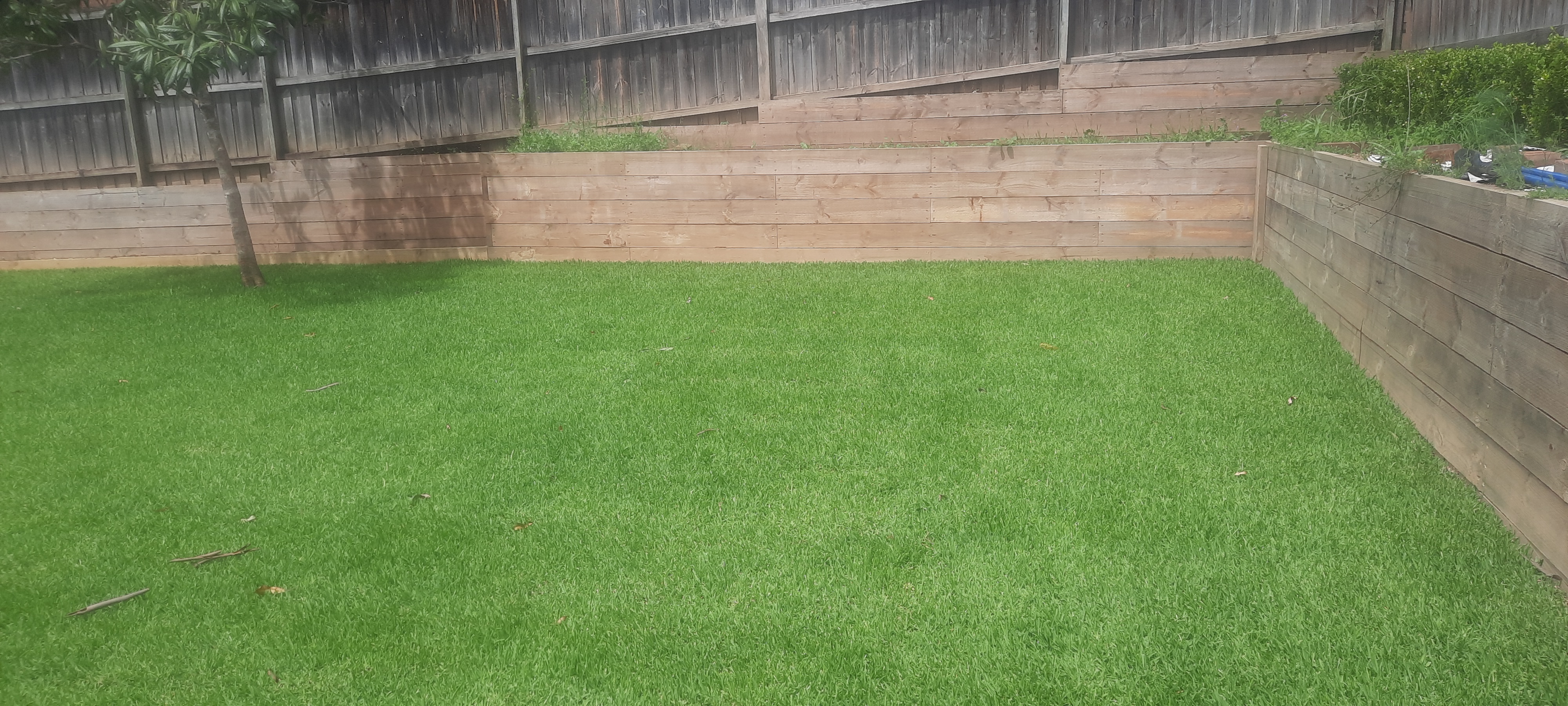 Timber Retaining Wall